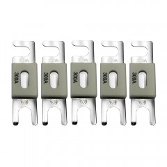 Запобіжник Victron Energy ANL-fuse 300A/80V (5 pc)