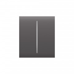 Центральная кнопка для двухклавишного выключателя Ajax CenterButton (2-gang) Grey (46029.140.GR) Центральная кнопка для двухклавишного выключателя Ajax CenterButton (2-gang) Grey (46029.140.GR)
