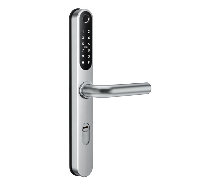 Розумний дверний біометричний замок SEVEN LOCK SL-7761BF silver (без врізної частини)