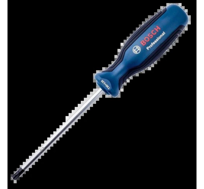 Викрутка Bosch T30 Professional 125 мм купити.