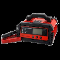 Автоматичний ЗП для акумулятора DEMUDA 12V/24V (WET,AGM,GEL)