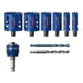 Набір коронок Bosch Tough Material 14 шт. (2608900447) купити.