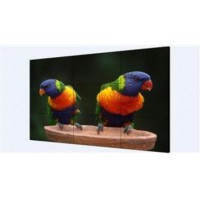49 "екран для відео стіни Hikvision Hikvision DS-D2049NL-B