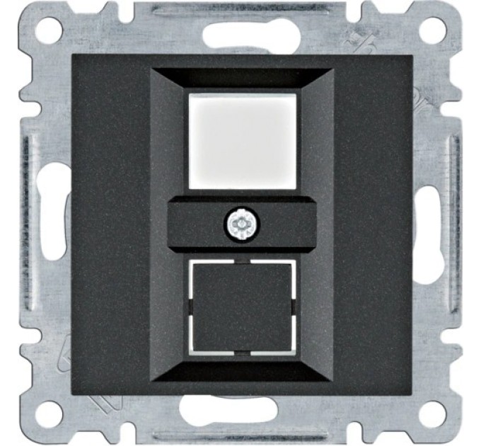 Панель Hager Lumina WL2323 двойная для RJ12/RJ45 купити.