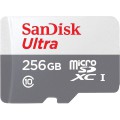 Модуль флеш-пам'яті SanDisk Ultra microSDXC 256GB 100MB/s Class 10 UHS-I купити.