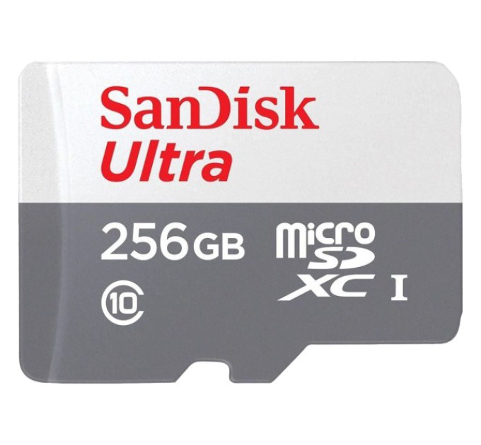 Модуль флеш-пам'яті SanDisk Ultra microSDXC 256GB 100MB/s Class 10 UHS-I купити.