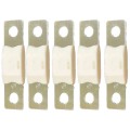 Запобіжник Victron Energy MEGA-fuse 300A/80V (package of 5 pcs) купити.