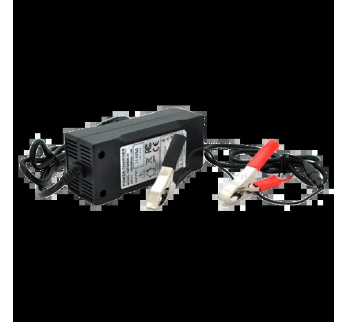 Зарядний пристрій для акумуляторів Merlion LiFePO4 12V(14,6V)-5A-60W купити.