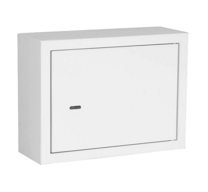 Антивандальний ящик петлі (400х300х150)  IPCOM БК-400-2
