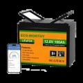 Акумуляторна батарея Eco-Worthy LiFePO4 12V 100Ah bluetooth купити.